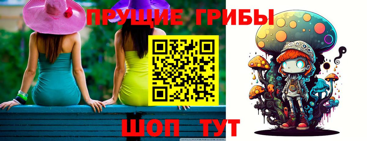 Псилоцибиновые грибы GOLDEN TEACHER Куйбышев